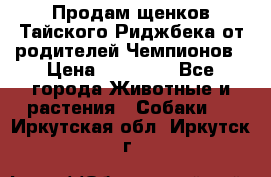 Продам щенков Тайского Риджбека от родителей Чемпионов › Цена ­ 30 000 - Все города Животные и растения » Собаки   . Иркутская обл.,Иркутск г.